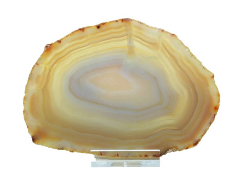 Steinfixx® Mineralstein Achatscheibe 7-8 cm mit Acrylständer I beidseitig poliert, (lila, rot, grün, blau, schwarz oder braun, 1-St., Brasilien), Blickfang I Heilstein von Steinfixx®