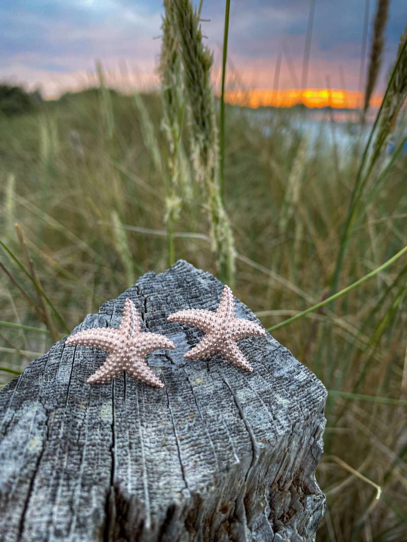Seestern Ohrstecker Aus 925Er Silber in Rose Mit Anlauf Geschützt von Sternschnuppe1985