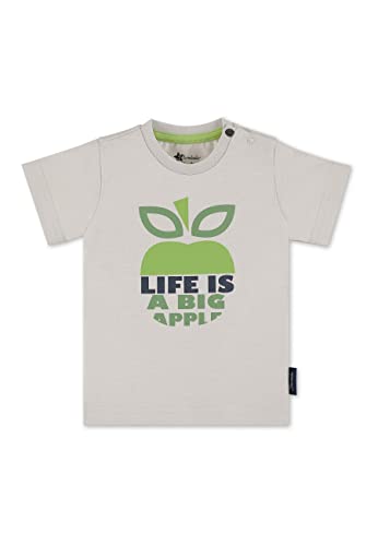 Sterntaler Baby-Jungen Kurzarm Apfel T-Shirt, lichtgrau, 56 von Sterntaler