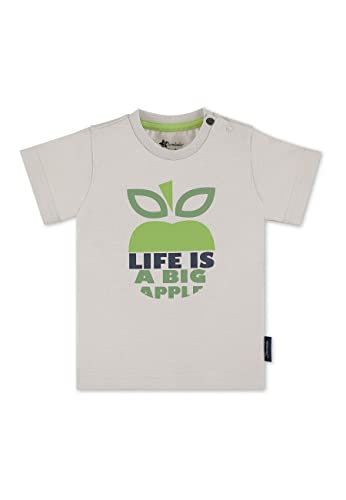 Sterntaler Baby-Jungen Kurzarm Apfel T-Shirt, lichtgrau, 74 von Sterntaler
