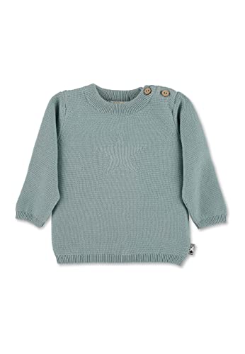 Sterntaler Baby Jungen Pullover Baby Strick GOTS Strick Stern Pullover - Pullover Strick Baby - mit Stern Stickerei und Knopfleiste - grün, 56 von Sterntaler