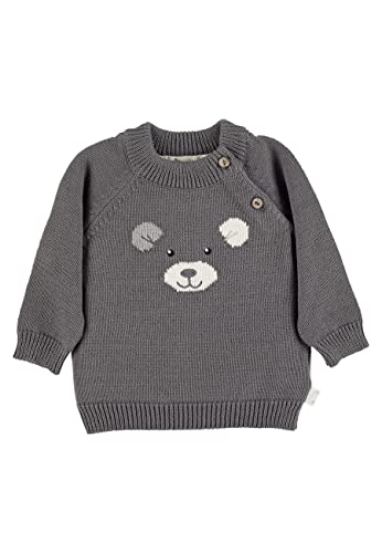 Sterntaler Baby - Jungen Pullover Baby Strick Strickpullover Eisbär Elia, Dunkelgrau, 68 von Sterntaler