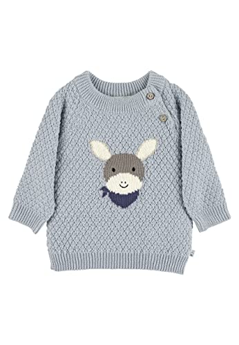 Sterntaler Baby - Jungen Pullover Baby Strick Strickpullover Esel Emmi, Bleu, 68 von Sterntaler