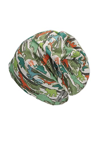Sterntaler Jungen Dinosaur Beanie-Mütze, Silber, 49 von Sterntaler