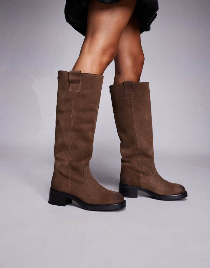 Steve Madden - Novi DK - Reitstiefel aus Wildleder in Taupe mit Schnallenverzierung-Neutral von Steve Madden