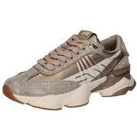 Steve Madden Sneaker Setback Damen gold von Steve Madden