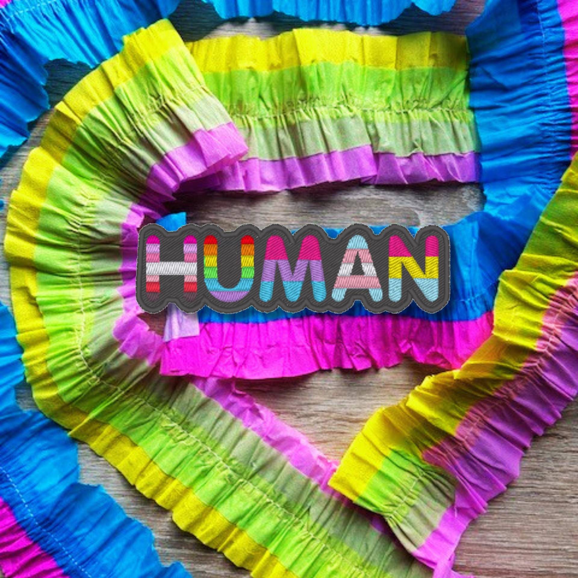 Human Pride Aufnäher - Bestickter Lgbtq+ Mit Pride-Flaggen Human Pride Aufnäher - Bestickter Lgbtq+ Mit Pride-Flaggen von Stichfee