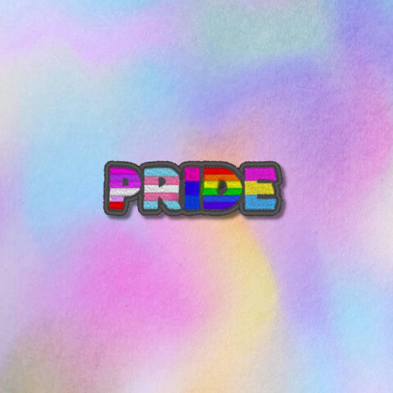 Pride Aufnäher - Bestickter Lgbtq+ Mit Flaggen-Lettern Pride Aufnäher - Bestickter Lgbtq+ Mit Flaggen-Lettern von Stichfee