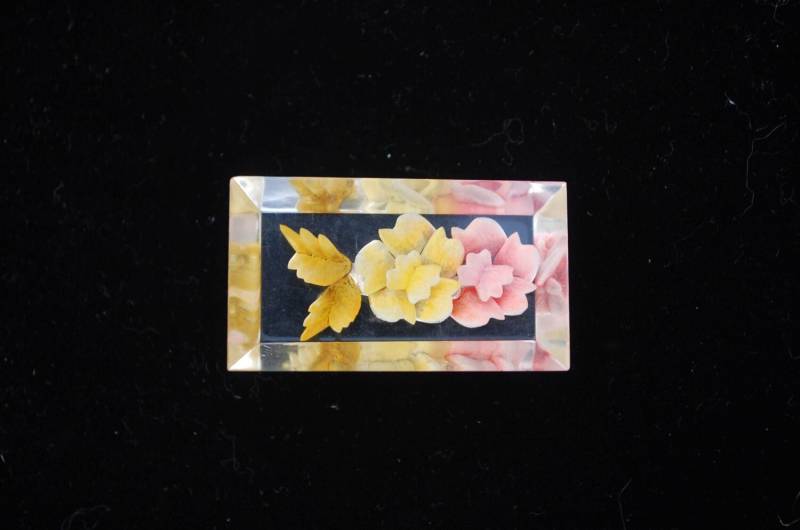 Lucite Brosche Pin Reverse Carved Flowers 1950 Lucite Brosche Pin Reverse Carved Flowers 1950 von StoneyJack