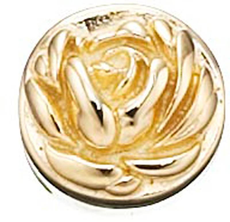 Story Charme Rose Silber vergoldet 5008948 günstig kaufen von Story by Kranz & Ziegler