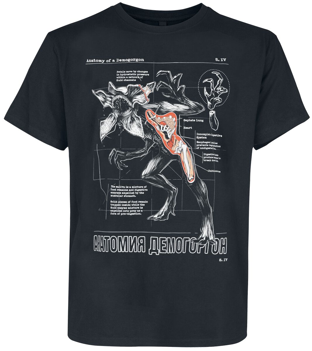 Stranger Things Anatomy Of A Demogorgon T-Shirt schwarz in L von Stranger Things