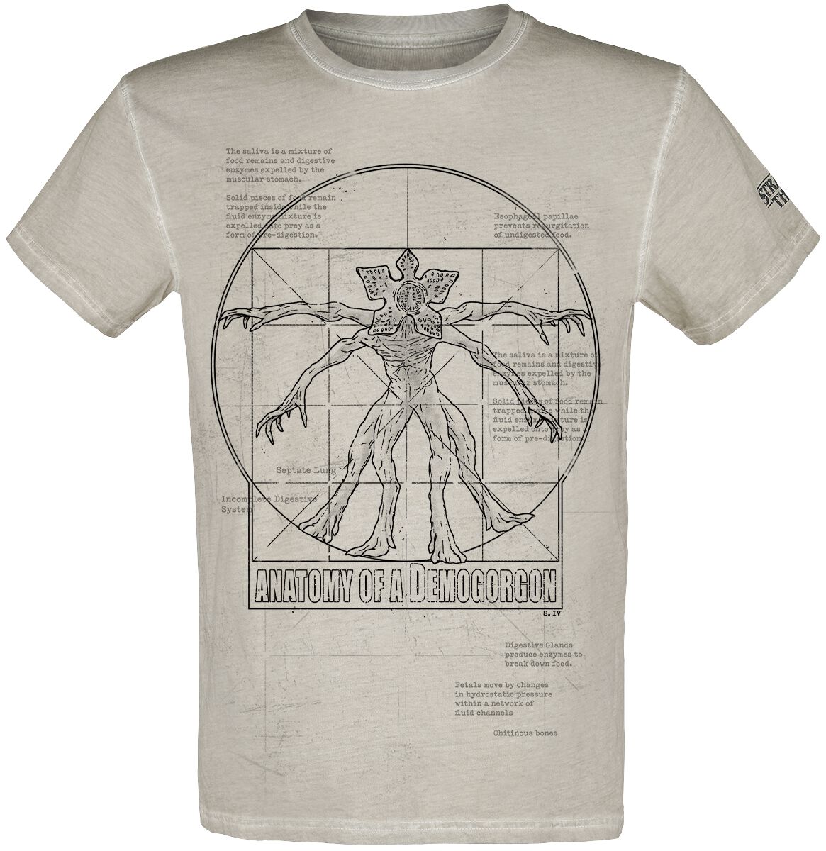 Stranger Things T-Shirt - Anatomy Of A Demogorgon - S bis 4XL - für Männer - Größe L - grau  - EMP exklusives Merchandise! von Stranger Things