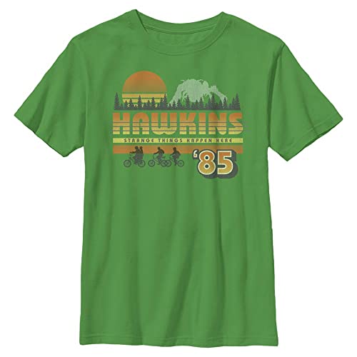 Stranger Things Unisex Kinder Hawkins Vintage Sunsnet Short Sleeve T-shirt, Kelly Green, Einheitsgröße von Stranger Things