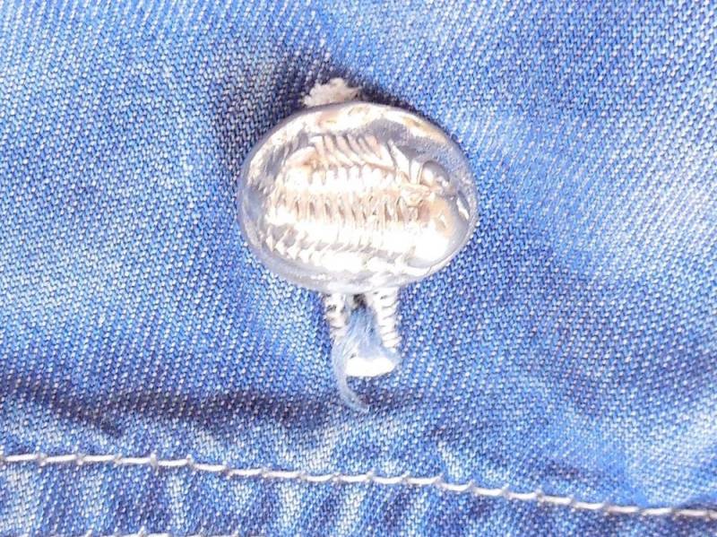 Manschettenknöpfe Sterling Trilobiten, Geologe Geschenk, Fossil Schmuck, Väter Day Mens Zubehör, Geologie-Manschettenknöpfe, Rock Hound Geschenk von StuckOnSilver