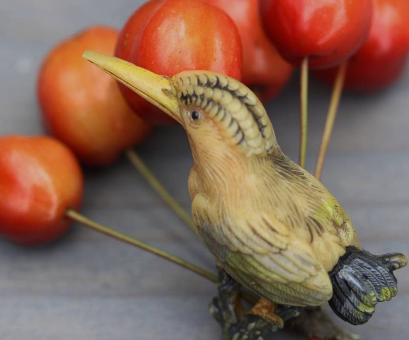 Vintage Celluloid Kookaburra Pin von StudioFind