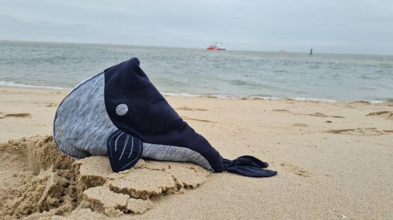 Waltasche Wal Tasche Federmappe Federtasche Stifte Etui Waltasche Wal Tasche Federmappe Federtasche Stifte Etui von StudioJohannaRieger