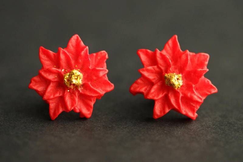 Roter Weihnachtsstern Ohrringe. Urlaub Rote Weihnachtsblumen Bronze Ohrstecker. Blumen von StumblingOnSainthood