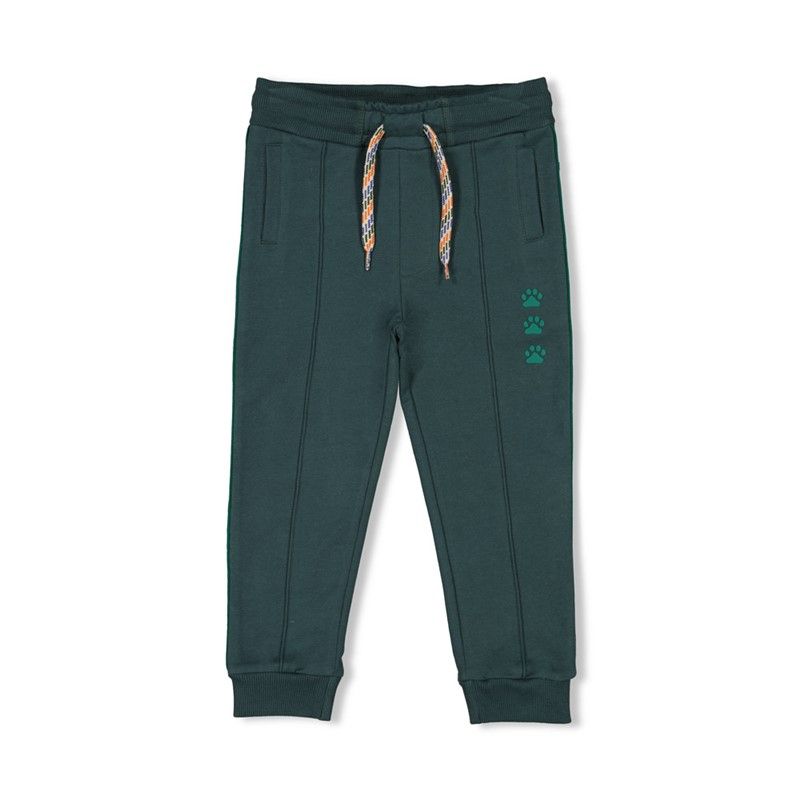 Jogginghose Junge Chasing Trails Winter Sturdy Petrol von Sturdy