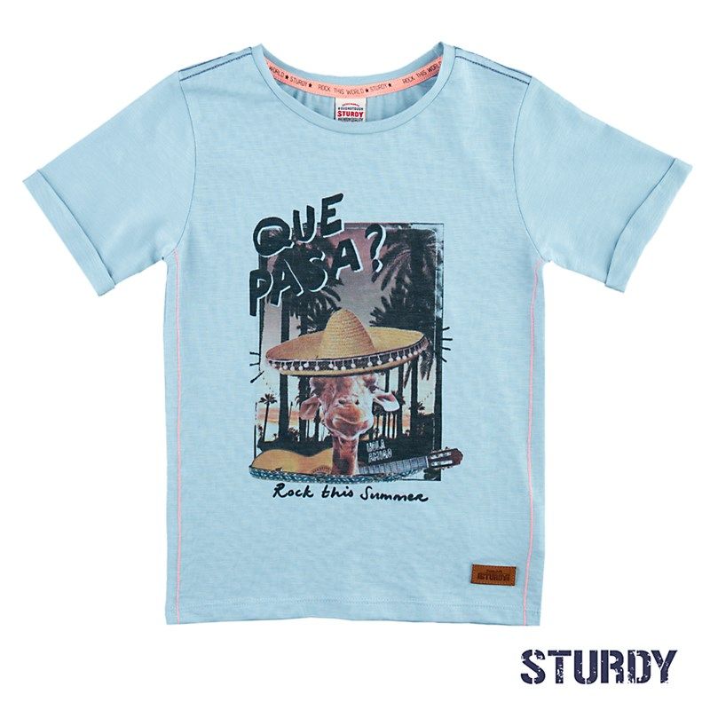 Sturdy Festival T-Shirt Junge hellblau von Sturdy