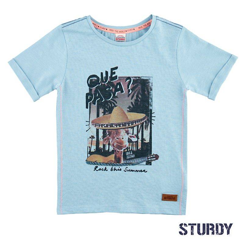 Sturdy Festival T-Shirt Junge hellblau von Sturdy