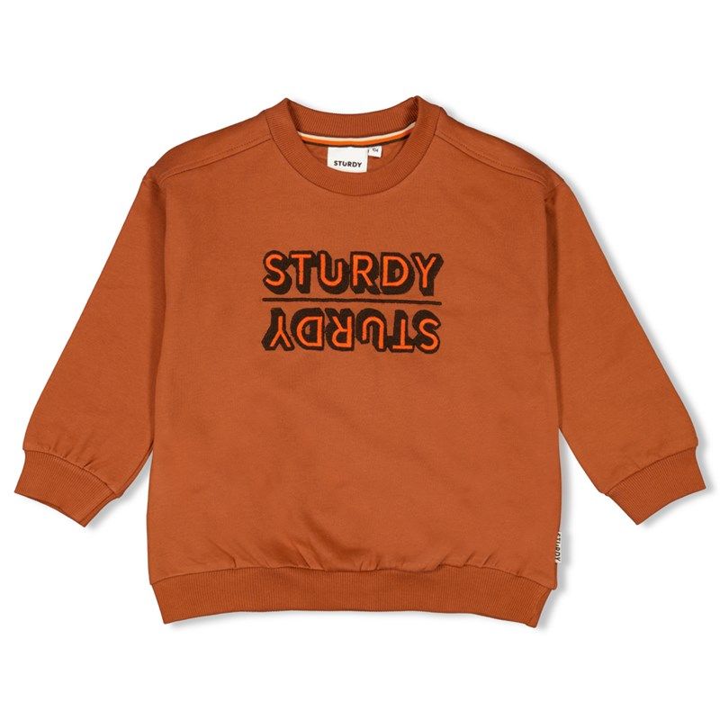 Sturdy Fly Wild Sweater Junge Winter Haselnuss von Sturdy