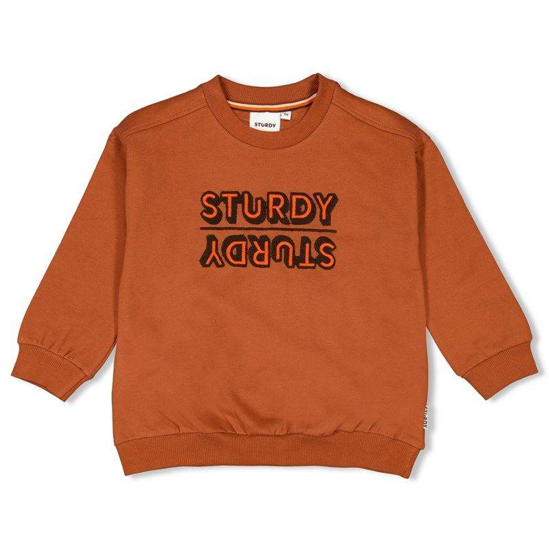 Sturdy Fly Wild Sweater Junge Winter Haselnuss von Sturdy