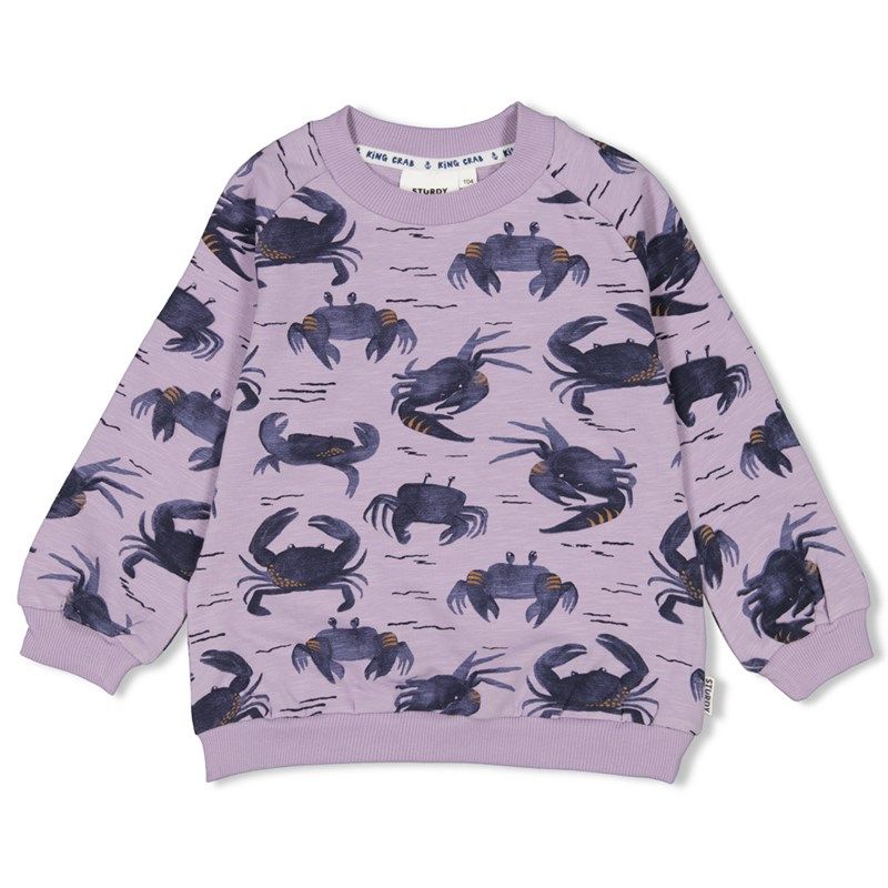 Sturdy The Getaway Sweater lila Junge Sommer von Sturdy