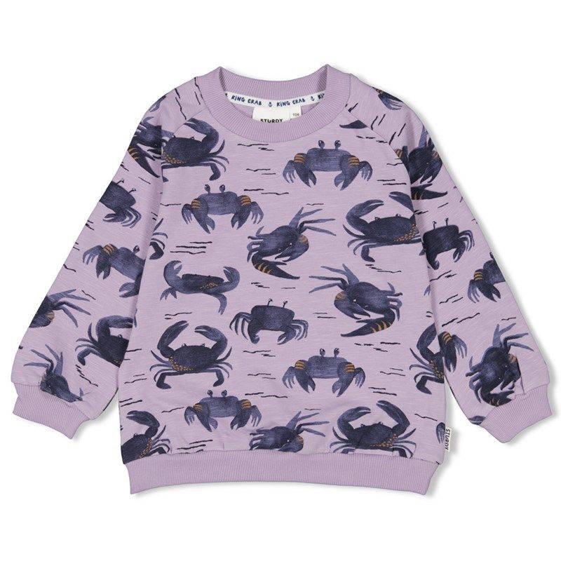 Sturdy The Getaway Sweater lila Junge Sommer von Sturdy