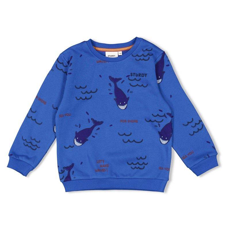 Sweater Junge Waves and whales Aqua Winterkollektion angeraut von Sturdy
