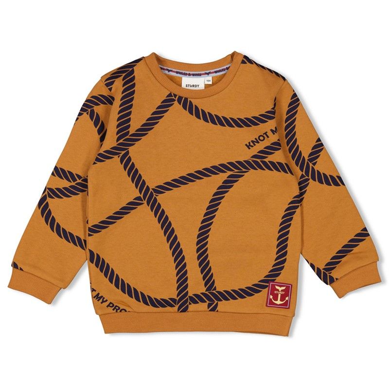 Sweater Junge Waves and whales Hazelnut Winterkollektion angeraut von Sturdy