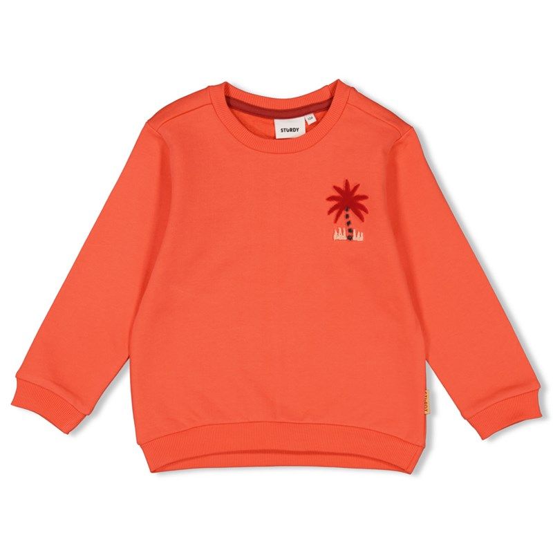 Sweater Junge coral / Sturdy / Happy Rio von Sturdy