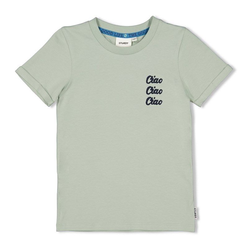 T-Shirt Junge mint / Sturdy von Sturdy