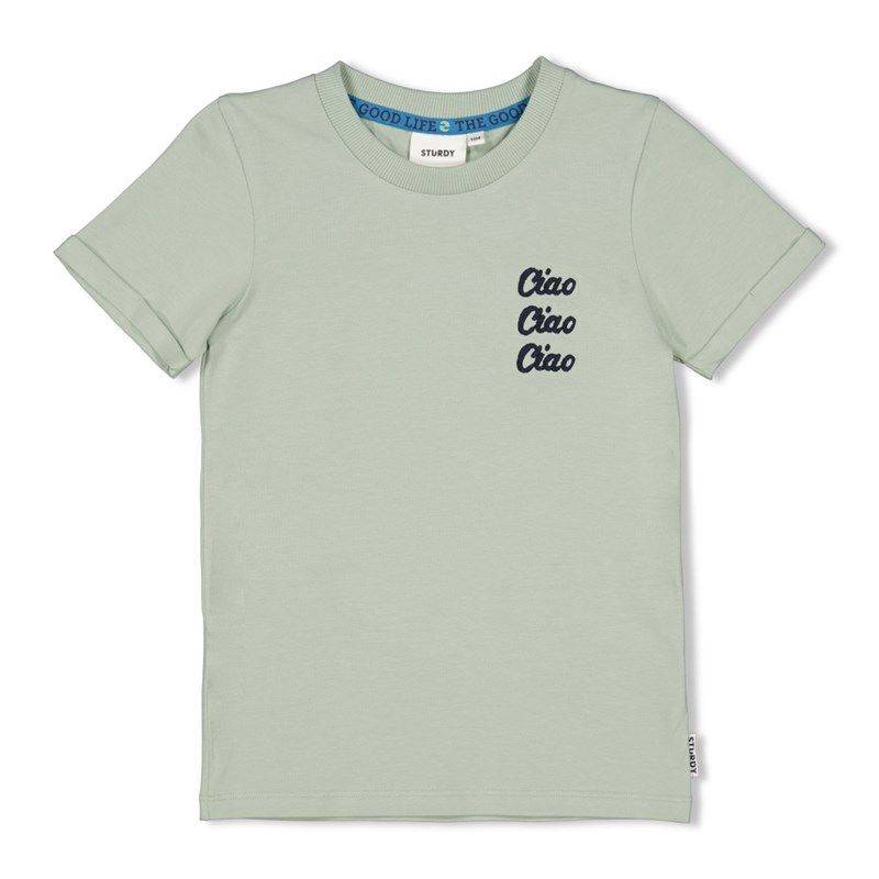 T-Shirt Junge mint / Sturdy von Sturdy