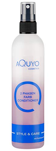 2 Phasen Farb Conditioner für strapaziertes und gefärbtes Haar (200ml) | Haarpflege Spray spendet dem Haar Feuchtigkeit und Glanz | Sprühkur mit Panthenol für bessere Kämmbarkeit von Style & Care