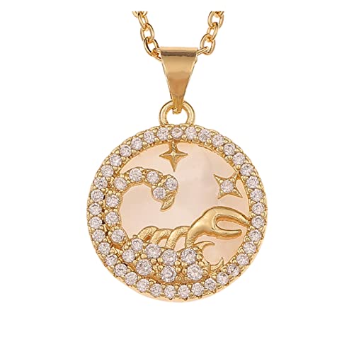 Halsketten Mode Halskette Europäischen und Amerikanischen Shell Schmuck 12 Konstellation Anhänger Nische Kreative Zwölf Konstellation Weibliche Halskette Halskette (Color : Scorpio, Size : 45cm) von Sudemota