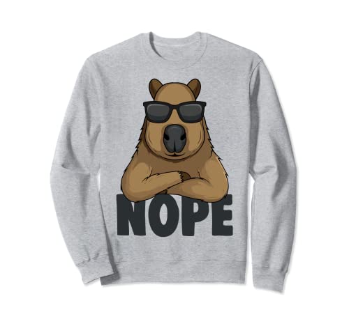 Capybara Kinder Jungen Mädchen Damen Sweatshirt von Süße Capybara Liebhaber Geschenke