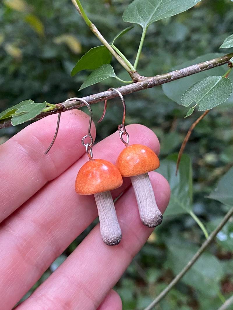 Orange Birken Bolete Pilz Ohrringe, Fimo Wald Herbst Schmuck, Geschenk Orange Birken Bolete Pilz Ohrringe, Fimo Wald Herbst Schmuck, Geschenk von SugarEvaShop