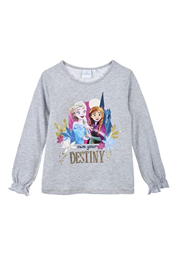 Frozen - Die Eiskönigin Destiny Longsleeve Langarm Shirt Anna und ELSA, Farbe:Grau, Größe Kids:128 von Sun City