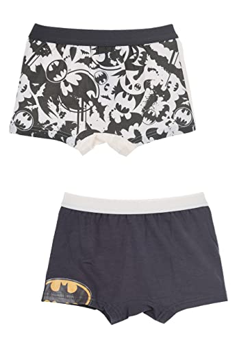 Sun City Batman Jungen Kinder Unterhosen Boxershorts Set 2 TLG, Größe Kids:116-128 von Sun City