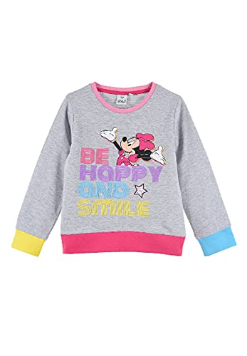 Sun City Minnie Mouse Sweatshirt Pullover Langarm Oberteil (Grau, 104) von Sun City