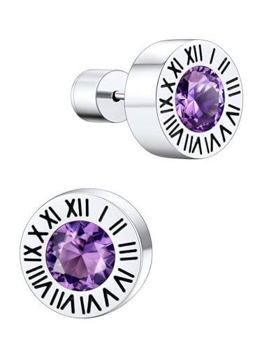 Supcare Silber Ohrringe Herren Ohrstecker Männer Damen Amethyst Ohrringe mit Römischen Ziffern Geburtsstein Ohrring Creolen Cubic Zirconia Stud Earring Mens Rock Ohr Piercing Ohr Schmuck für Karneval von Supcare