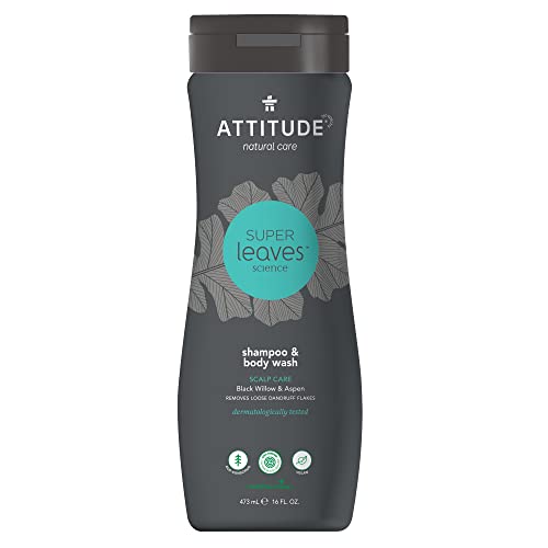 ATTITUDE Super Leaves 2in1 Shampoo & Duschgel Anti-Schuppen für Männer (1 x 473ml) von Super Leaves