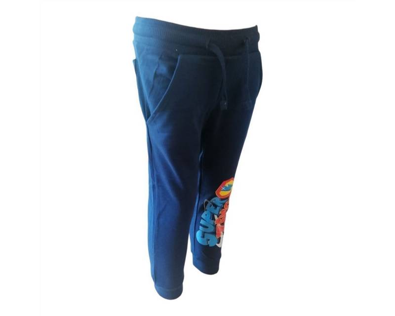 Super Wings Jogginghose Super Wings Jogginghose für Jungen, Grau oder Blau, Größen 98-128 von Super Wings