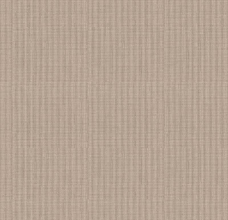 Superfresco Easy Vliestapete "Superfresco Easy Vliestapete 10mx1,04m" unifarben mit Farbeinsätzen Superfresco Easy Vliestapete Taupe 10mx1,04m von Superfresco Easy