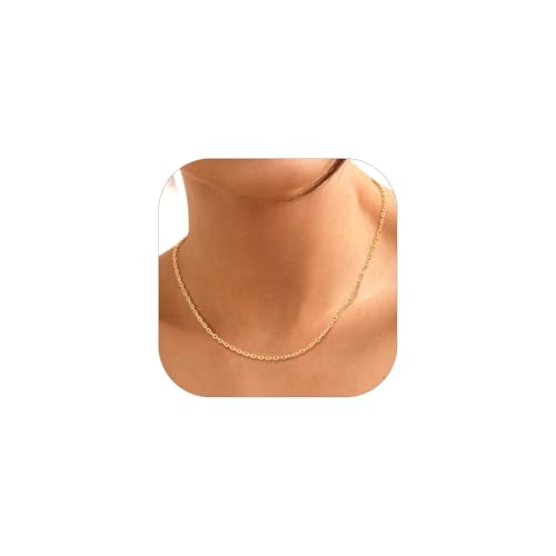 Suplight Gliederkette Edelstahl gold Choker Kette Damen Halsband dünne Rolokette ohne Anhänger 2mm Panzerkette 53cm lang Collier Wasserfest Goldkette Geschenk für Valentinstag Suplight Gliederkette Edelstahl gold Choker Kette Damen Halsband dünne Rolokette ohne Anhänger 2mm Panzerkette 53cm lang Collier Wasserfest Goldkette Geschenk für Valentinstag von Suplight