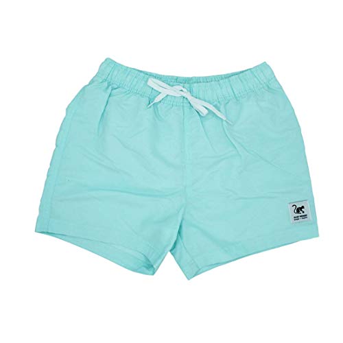 Dressed IN Music Play with ME Quick-Dry Surf Monkey® Volley, Kurze Herren-Badeshorts, Himmel, 48 von Surf Monkey