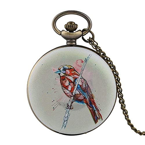 Mechanische Taschenuhr mit Kette, Taschenuhr-Halskette mit Kette, elegante bunte Vogel-Quarz-Taschenuhr für Damen, weiße Uhren, Herren, analoge Uhr, Halskette, Anhänger, Geschenke für Kinder, Jungen, von Suuim