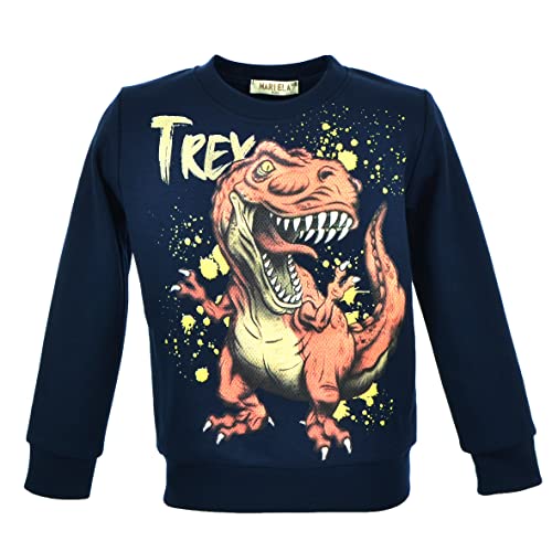 Svetli Kinder Jungen Pullover | Sweatshirts | Baumwolle | Casuals | Winterpullover | Langarmshirt (98, Pattern 22) von Svetli