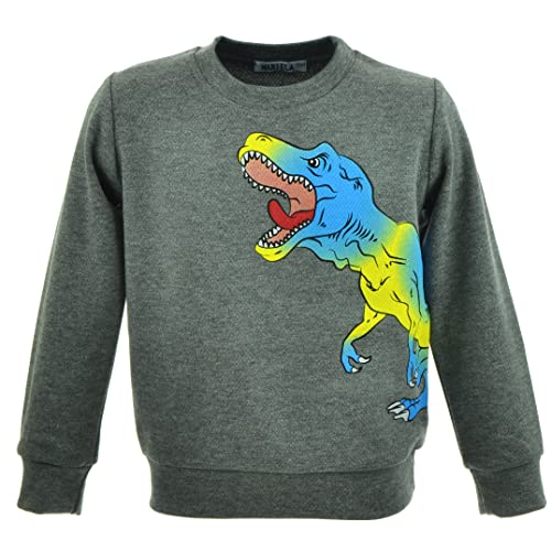 Svetli Kinder Jungen Pullover | Sweatshirts | Baumwolle | Dinosaurier | Casuals | Winterpullover | Weihnachtspullover | Langarmshirt (104, Pattern 10) von Svetli