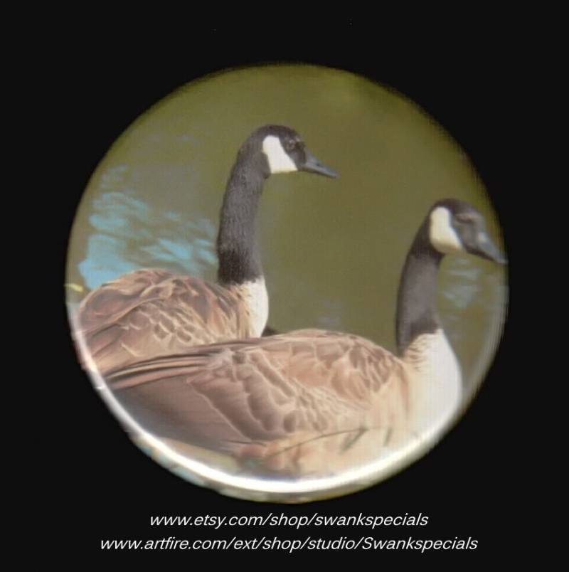 Zwei Gänse An Einem Teich. Button Oder Magnet von SwankSpecials